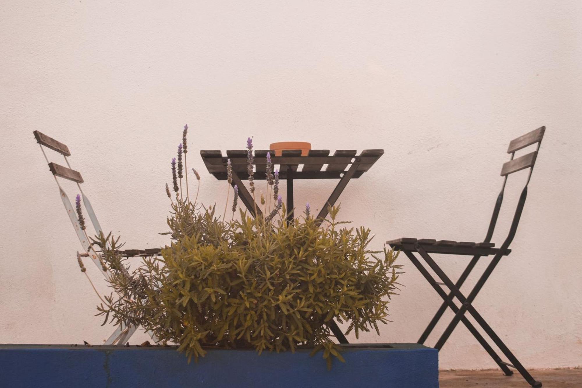 Patio Da Memoria Guest House Palmela Room photo